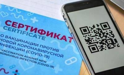 В каком виде с 8 ноября тюменцам предъявлять QR-код? - news.megatyumen.ru - Тюменская обл.