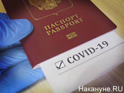 На Среднем Урале женщина заплатит 75 тысяч за поездку на конкурс во время самоизоляции - nakanune.ru - Россия - Свердловская обл.