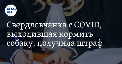 Свердловчанка с COVID, выходившая кормить собаку, получила штраф - ura.news - Свердловская обл.