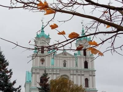 До +5°С ожидается в Беларуси 9 ноября - grodnonews.by - Белоруссия
