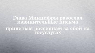 Максут Шадаев - Глава Минцифры разослал извинительные письма привитым россиянам за сбой на госуслугах - chelny-izvest.ru - Россия