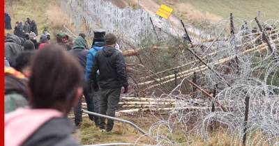 Пограничники Польши заявили о выстрелах на белорусской стороне границы - profile.ru - Белоруссия - Польша