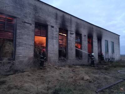 Поиграли со спичками в сенохранилище. В Ивьевском районе дети стали причиной пожара - grodnonews.by - Белоруссия - район Ивьевский