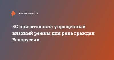 ЕС приостановил упрощенный визовый режим для ряда граждан Белоруссии - ren.tv - Белоруссия - Польша - Визы