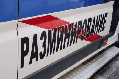 Мужчина подорвался на мине в районе Синявинских высот днем 8 ноября - spb.mk.ru - Ленинградская обл. - Санкт-Петербург