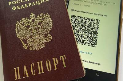 Андрей Травников - Система QR-кодов в кафе и ресторанах заработает с 12 ноября в Новосибирской области - sib.fm - Новосибирская обл.