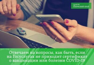 Как быть, если на Госуслугах не появился сертификат? - iskra-kungur.ru - Пермь