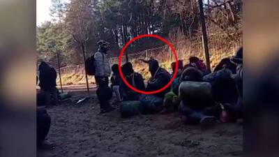 В беженцев на границе стреляли со стороны Польши. Видео - grodnonews.by - Белоруссия - Польша