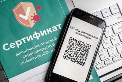 Максут Шадаев - Названо количество пострадавших от сбоя на «Госуслугах» россиян - lenta.ru