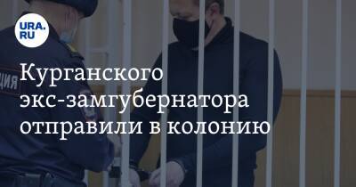 Сергей Пугин - Курганского экс-замгубернатора отправили в колонию - ura.news - Курганская обл. - Курган