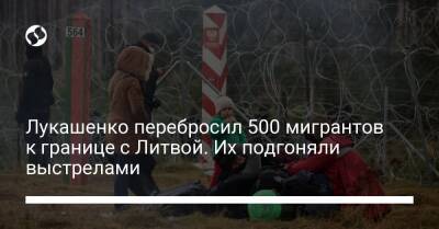 Лукашенко перебросил 500 мигрантов к границе с Литвой. Их подгоняли выстрелами - liga.net - Украина - Польша - Литва