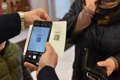 Дмитрий Песков - Глава "Аэрофлота" поддержал идею проверять QR-коды при посадке в самолет - nakanune.ru - Россия - Хабаровский край