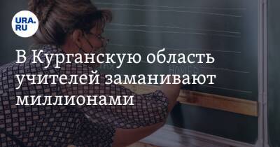 В Курганскую область учителей заманивают миллионами - ura.news - Курганская обл.