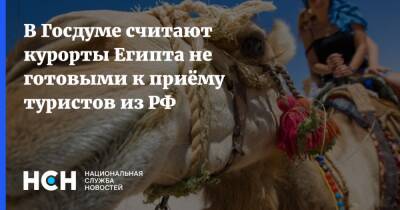 В Госдуме считают курорты Египта не готовыми к приёму туристов из РФ - nsn.fm - Россия - Египет