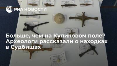 Больше, чем на Куликовом поле? Археологи рассказали о находках в Судбищах - ria.ru - Москва - Россия - Орловская обл. - Тула