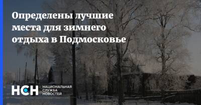 Андрей Рублев - Определены лучшие места для зимнего отдыха в Подмосковье - nsn.fm - Швейцария - Московская обл.