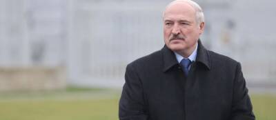 Александр Лукашенко - Лукашенко осуждает борьбу с мигрантами силовым путём - runews24.ru - Белоруссия - Польша - Минск