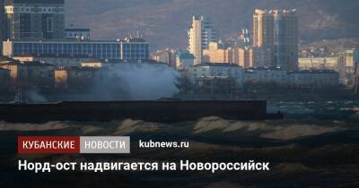Норд-ост надвигается на Новороссийск - kubnews.ru - Сочи - Краснодарский край - Новороссийск