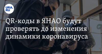 QR-коды в ЯНАО будут проверять до изменения динамики коронавируса - ura.news - окр. Янао