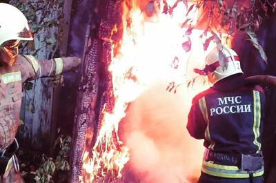 За неделю на пожарах в Рязанской области погибли четыре человека - 7info.ru - Россия - Рязанская обл.