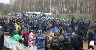 Мариуш Каминьский - На границе Польши и Белоруссии находятся до 4 тысяч мигрантов - ren.tv - Белоруссия - Ирак - Польша