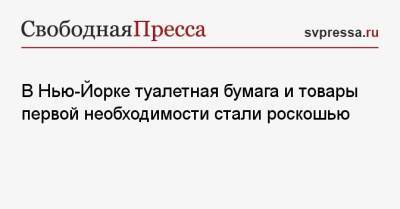 В Нью-Йорке туалетная бумага и товары первой необходимости стали роскошью - svpressa.ru - Санкт-Петербург - Нью-Йорк - Нью-Йорк