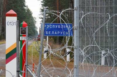 Виктория Чмилите-Нильсен - Литва утвердила введение режима ЧП в приграничных с Белоруссией районах - aif.ru - Польша - Литва
