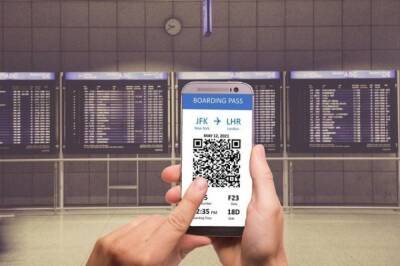 Дмитрий Песков - РБК: власти обсуждают введение системы QR-кодов в поездах и самолетах - aif.ru