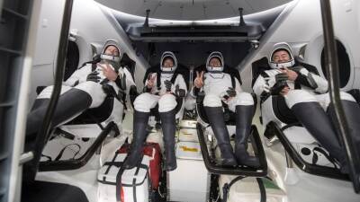 Шейн Кимбро - Четверо астронавтов вернулись на Землю на корабле SpaceX - golos-ameriki.ru - Франция - Япония - шт.Флорида