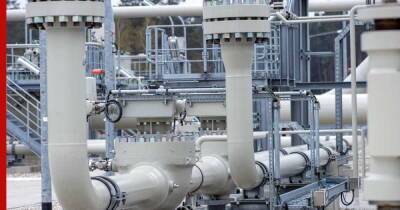 Уровень заполненности газохранилищ "Газпрома" повышается с 6 ноября, заявили в ФРГ - profile.ru - Германия