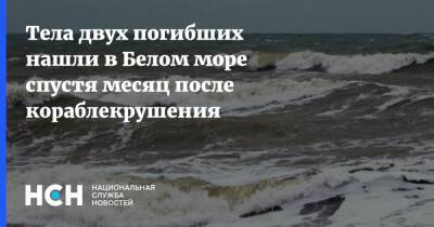 Тела двух погибших нашли в Белом море спустя месяц после кораблекрушения - nsn.fm - Мурманск - Мурманская обл. - Геленджик