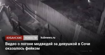 Видео о погоне медведей за девушкой в Сочи оказалось фейком - kubnews.ru - Сочи - Краснодарский край - Владивосток - район Лазаревский