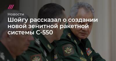 Владимир Путин - Шойгу рассказал о создании новой зенитной ракетной системы С-550 - tvrain.ru - Сочи