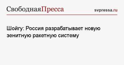 Сергей Шойгу - Владимир Путин - Шойгу: Россия разрабатывает новую зенитную ракетную систему - svpressa.ru - Россия - Сочи