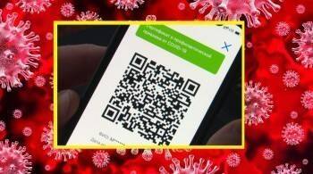 Россияне массово раскрыли свои личные QR-коды в социальных сетях - vologda-poisk.ru - Вологда