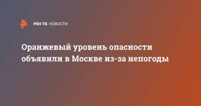 Оранжевый уровень опасности объявили в Москве из-за непогоды - ren.tv - Москва - Санкт-Петербург - ЦФО
