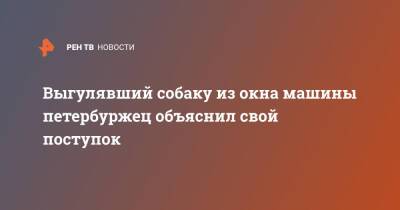 Выгулявший собаку из окна машины петербуржец объяснил свой поступок - ren.tv - Санкт-Петербург