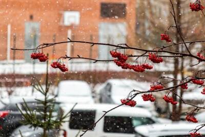 В Новосибирске опубликовали прогноз погоды на декабрь - novos.mk.ru - Новосибирск - Новосибирская обл.