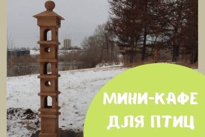 Птичье кафе на Татышеве, новое приложение для парковок и гибель пассажира в свой день рождения - главное в Красноярске к 1 декабря - kras.mk.ru - Красноярский край - Красноярск