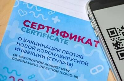 Ограничения или свобода? Что дадут нам QR-коды - ulpravda.ru - Ульяновская