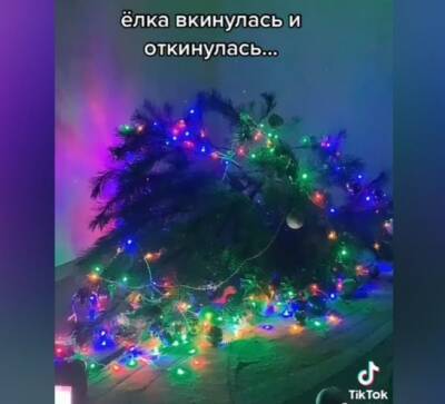 Юлин ТОПчик. Новогодняя катастрофа: как спасти елку от детей и животных - ulpravda.ru - Ульяновская