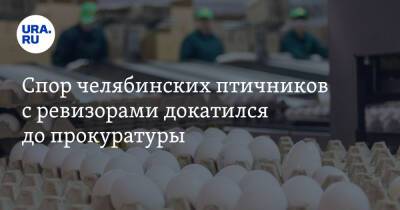 Спор челябинских птичников с ревизорами докатился до прокуратуры - ura.news - Россия