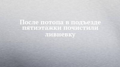 После потопа в подъезде пятиэтажки почистили ливневку - chelny-izvest.ru