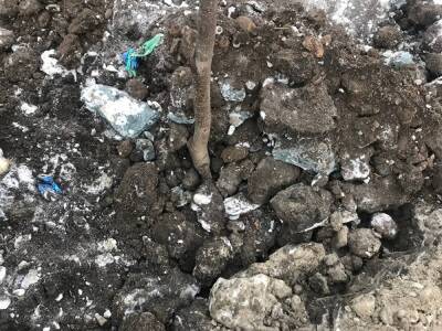 В Челябинске появилось новое экологическое движение, куда вошли бывшие силовики - znak.com - Челябинская обл. - Челябинск