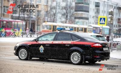 На Камчатке подросток сорвался с опоры ЛЭП - fedpress.ru - Россия - Петропавловск-Камчатский