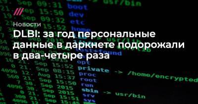 DLBI: за год персональные данные в даркнете подорожали в два-четыре раза - tvrain.ru