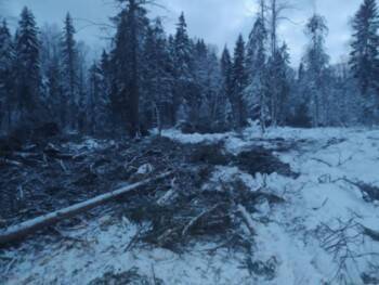 Предприниматель ответит в суде за гибель рабочего - vologda-poisk.ru