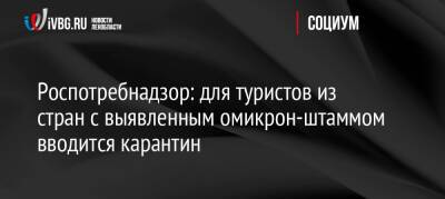 Анна Попова - Роспотребнадзор: для туристов из стран с выявленным омикрон-штаммом вводится карантин - ivbg.ru - Россия - Украина
