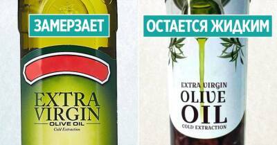 Тетя вернулась из Италии и просветила, как отличить качественное оливковое масло от подделки - skuke.net - Италия