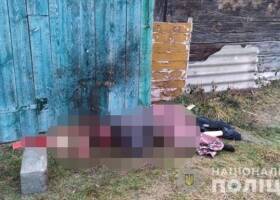 На Одесчине военный под наркотиками покусал полицейского - rupor.info - Одесская обл. - район Раздельнянский